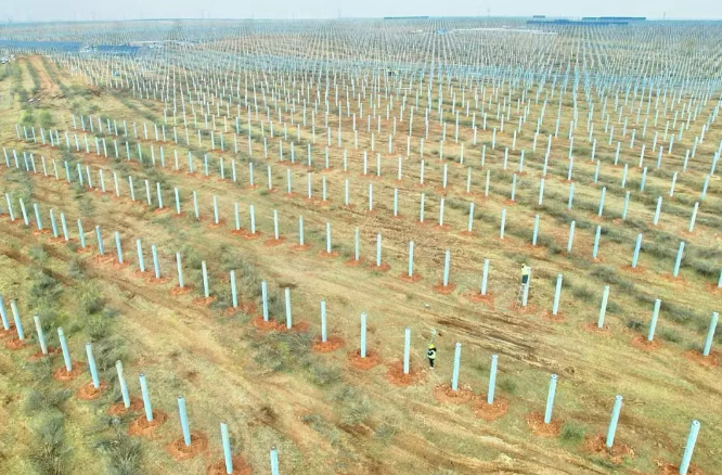 1729592569606531.png image.png