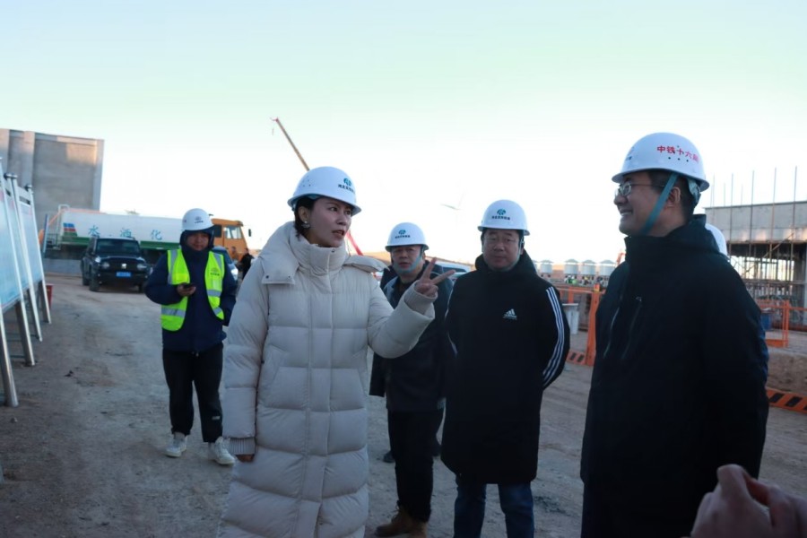 1737891060549694.jpg 丁玉玲_conew1.jpg