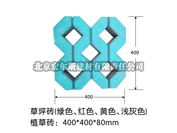 草坪磚 (10)